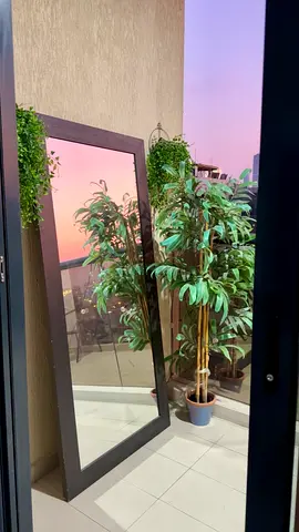 Large Full-Length Mirror with Long plant and Pot