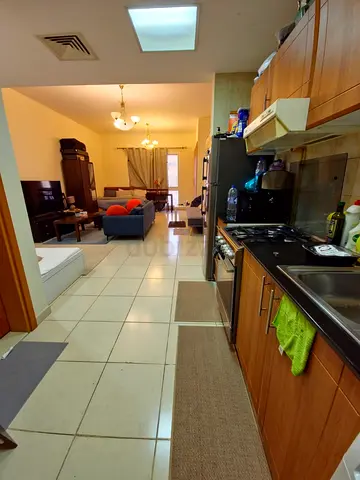Executive Female Roommate Wanted – JVC