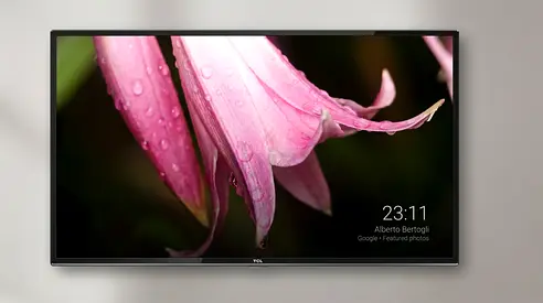 TCL 43 Flat Panel LED TV - Good Working Condition