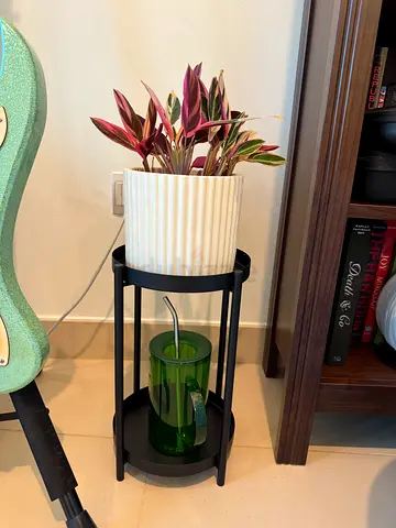 Small indoor plant on black metal stand with planter