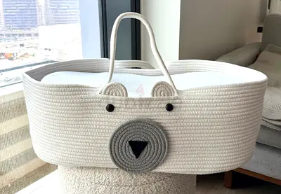 Red Castle Cocoonababy and basket