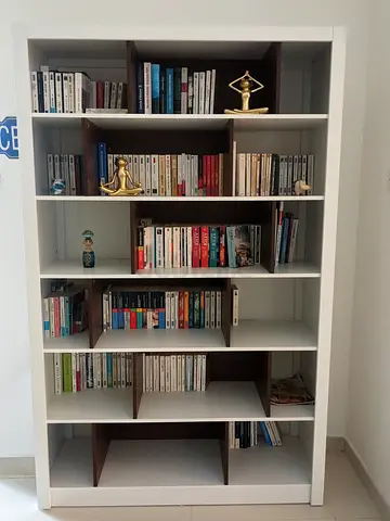 BOOKSHELF CABINET