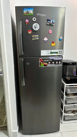 Super General Inverter Refrigerator 251L Capacity | Double Door