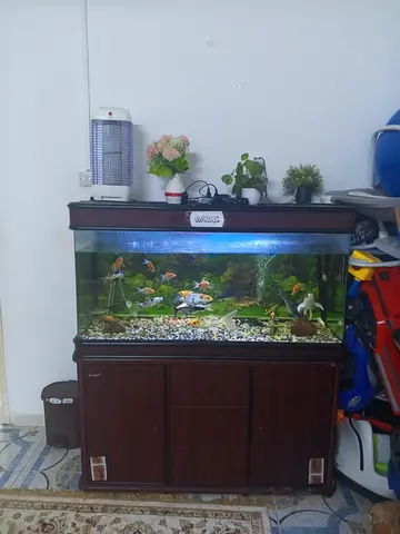 Complete Fish Aquarium
