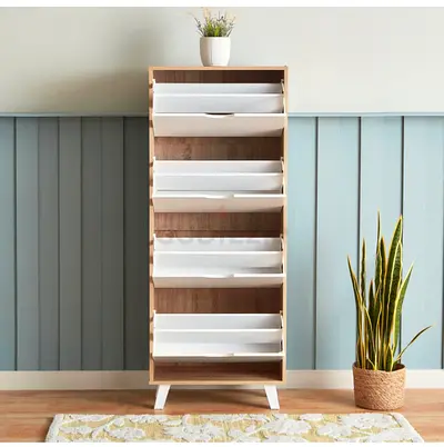 Shoe cabinet