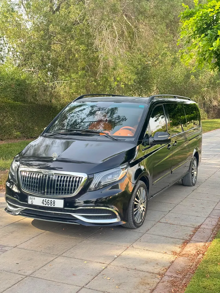 Mercedes-Benz Viano 2014 — photo 1 of 9