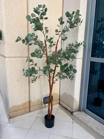 Artificial eucalyptus trees
