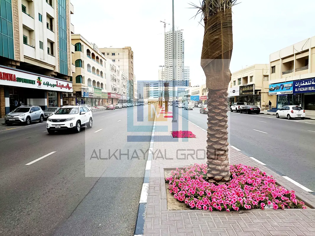 gallery-image
