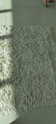 Carpet