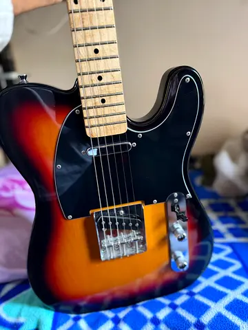 SX Custom Handmade Electric Guitar