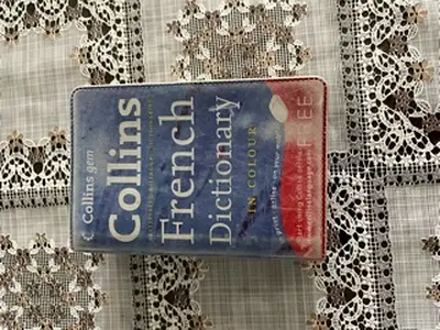 Pocket French Dictionary