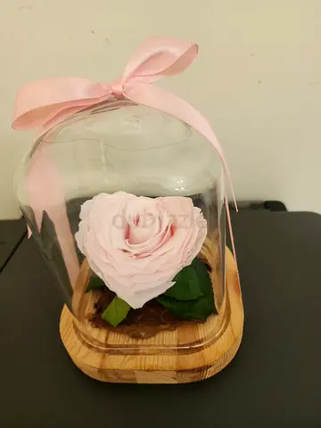 Forever Rose Heart