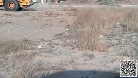 INDUSTRIAL LAND || 43494 SQ FT || FREEHOLD || JURF INDUSTRIAL AREA || AJMAN.