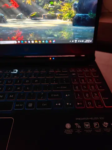 Acer Predator Helios 300 Gaming Laptop