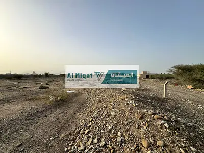 Prime agricultural land for sale in Kalba - Sur Kalba area
