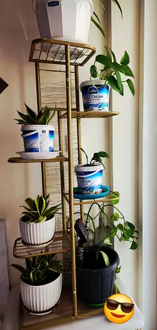 Plant rack