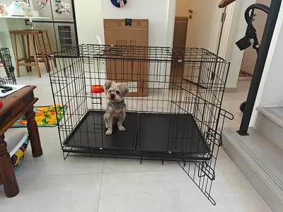 Dog crate (large)