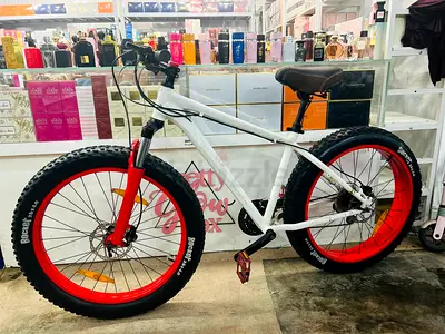 Mountain or fat bike custom build