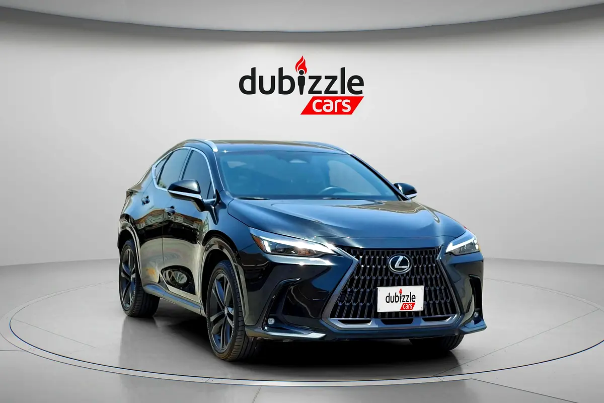 Lexus NX-Series 2024 — photo 1 of 14