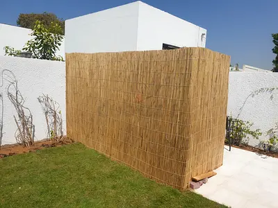 Bamboo fence