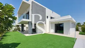 Step Into Elegance | Single Row | Hot Price!!