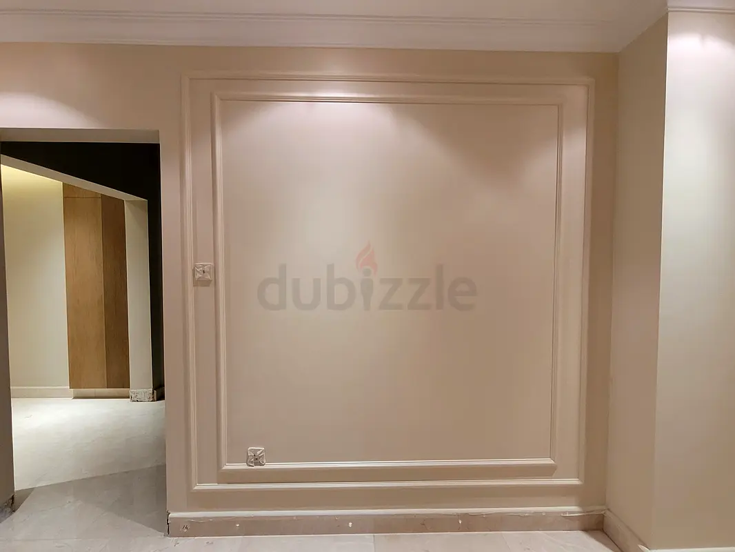 DPV_View_Image_0