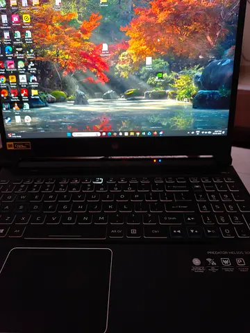 Acer Predator Helios 300 Gaming Laptop
