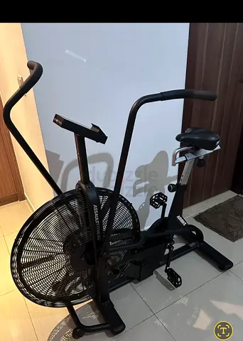 Assault Air Bike / Fan Exercise Bike - Good Working Condition