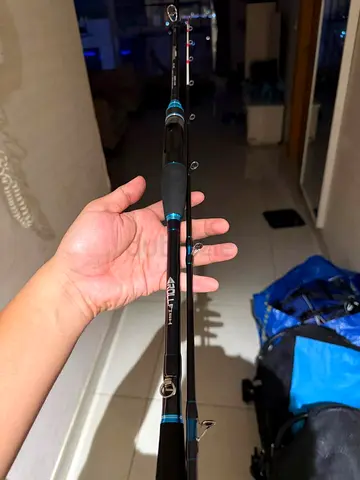 CASTING ROD 5.4FT 20-80g Lure