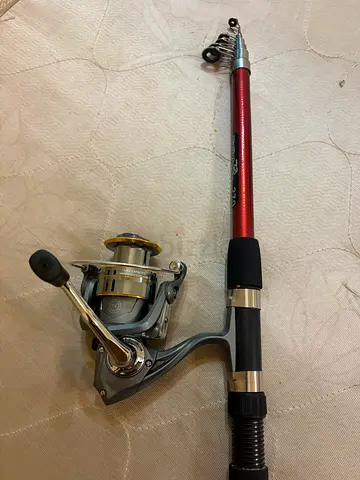 Fishing rod and reel