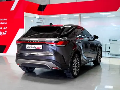 2024 Lexus RX-SERIES 照片 6