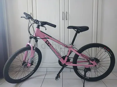 24 inch kids mountain bike in excellent condition