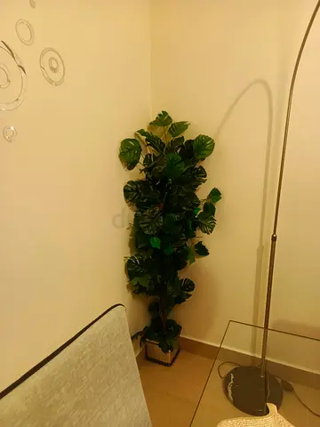 Long size decoration tree for sale