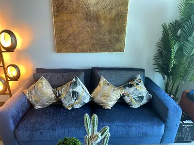 Designer Couch Brandnew