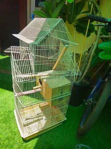 Bird cage