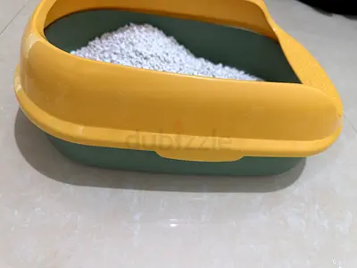 ابوظبي