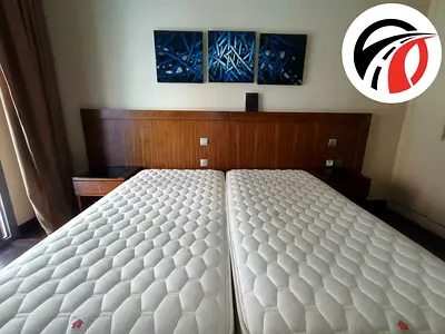 Fully furnished 2Bhk Chillar free Available 77995