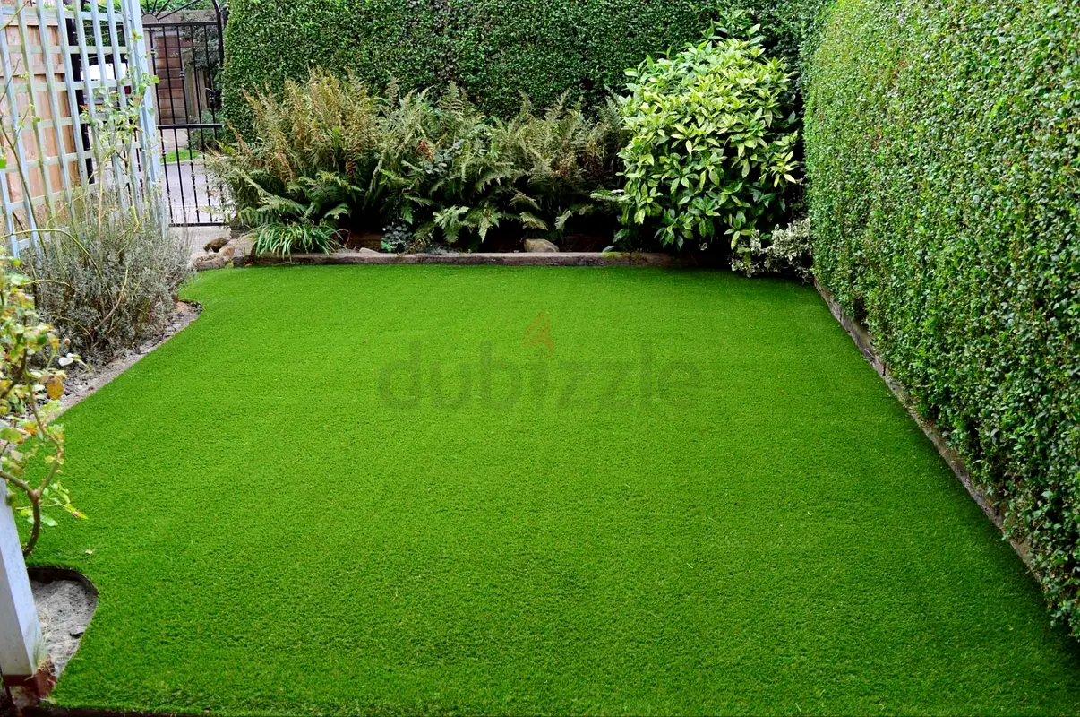 DPV_View_Image_7