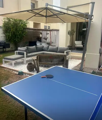 Table tennis table with bats and balls