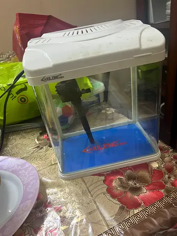 Fish Aquarium 23x26cm