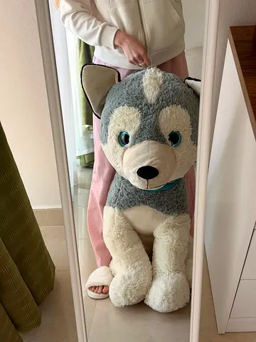 a child’s toy