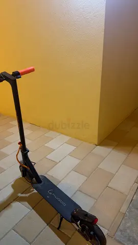 ابوظبي