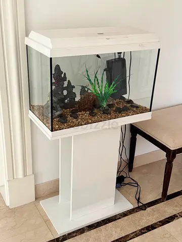 White 60L Aquarium with Stand and Filter - Great Condition