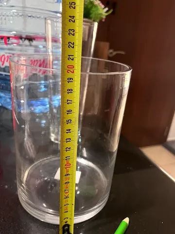 Large Glass Vase