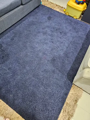 Blue Shaggy Area Rug