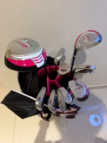 BRAND NEW World Eagle FL-01 V2 Ladies Golf Club Set with Bag