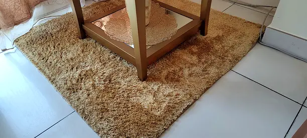 Set of 2 Golden Carpets