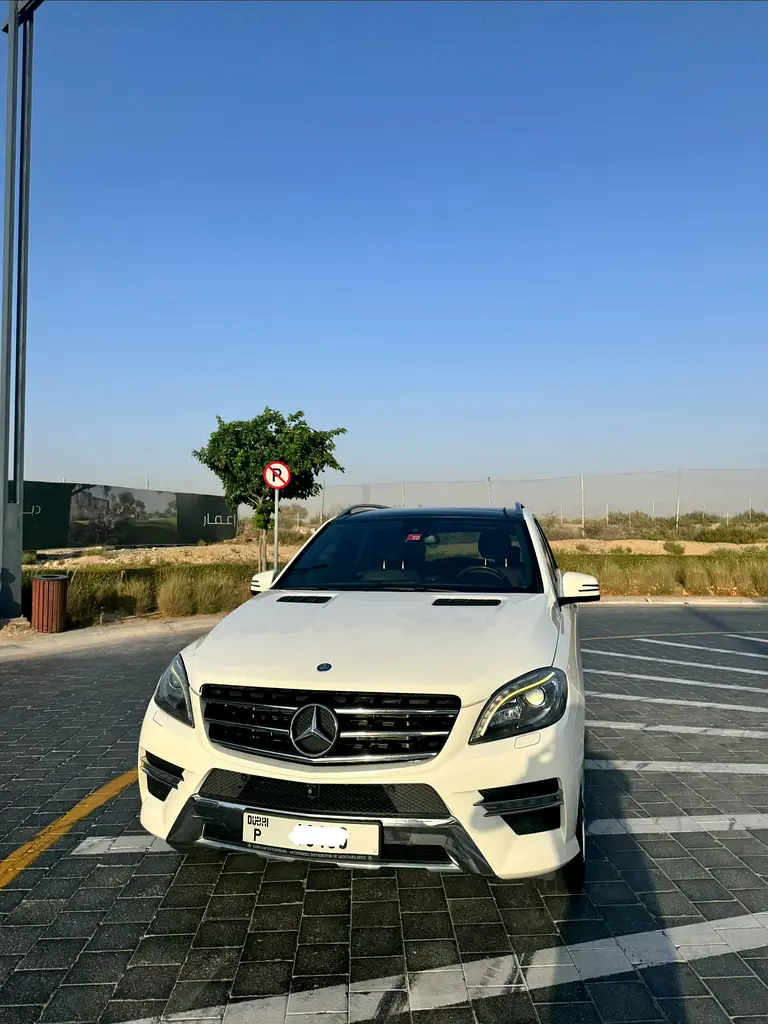 Mercedes-Benz M-Class 2015 — photo 1 of 15