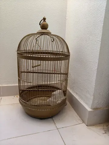 Bird cage metal
