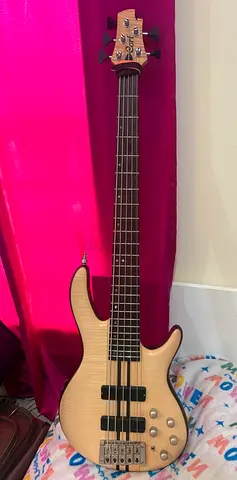 Bass guitar